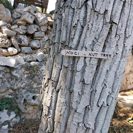 Vakantiehuis Puglia Tu