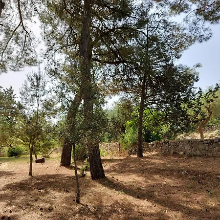 Vakantiehuis Puglia Tu *