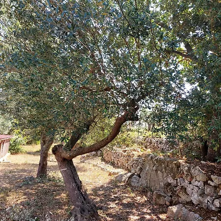 Puglia Tu Vakantiehuis *
