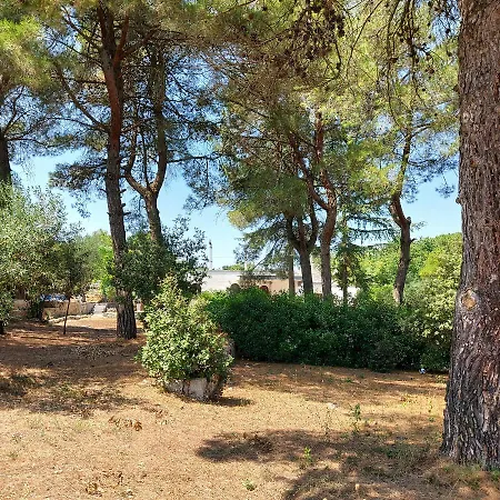 Puglia Tu Σπίτι διακοπών *