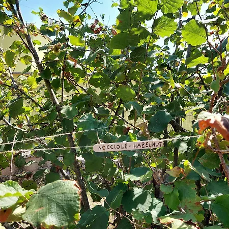 Puglia Tu Σπίτι διακοπών *