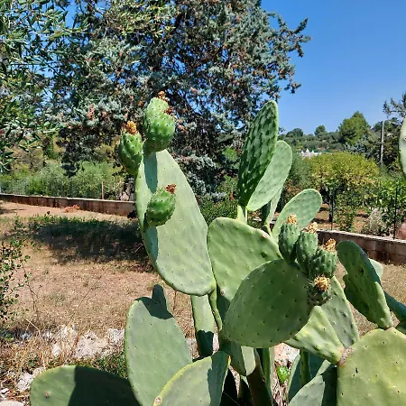 Σπίτι διακοπών Puglia Tu