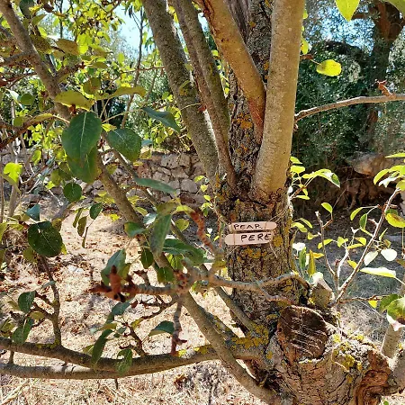 Σπίτι διακοπών Puglia Tu