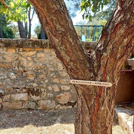 Puglia Tu * Putignano