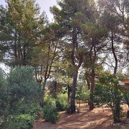 Holiday home Puglia Tu *