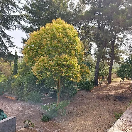 Holiday home Puglia Tu Putignano