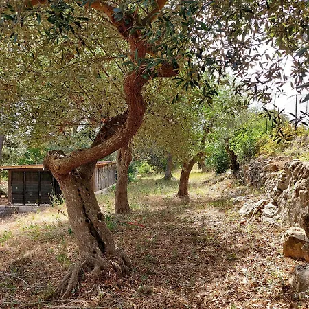 Puglia Tu * Putignano