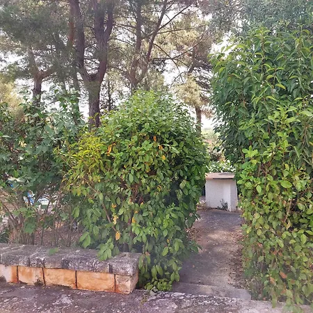 Puglia Tu * Putignano